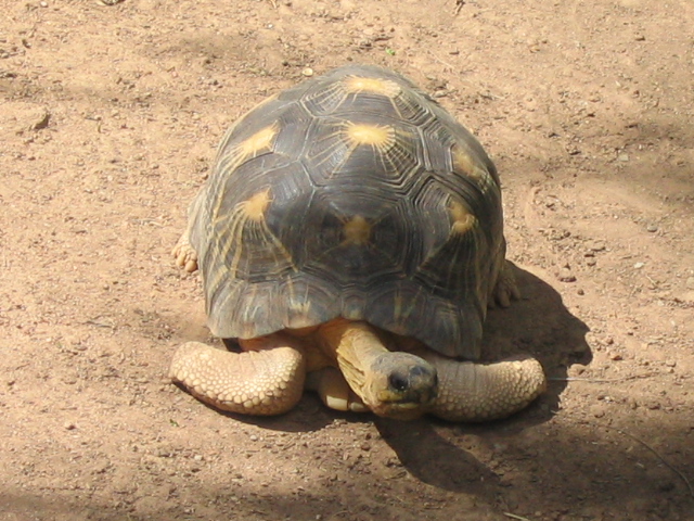 618x457 pixels (212K)